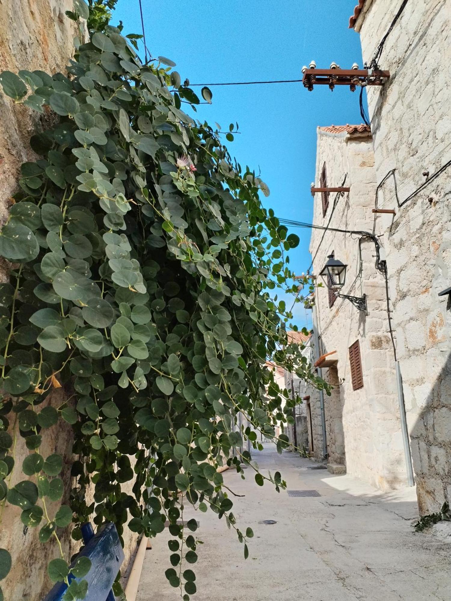 Apartmán Ema Prvic Sepurine Exteriér fotografie
